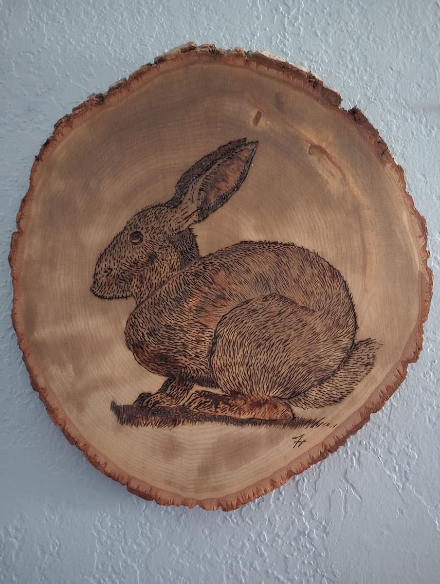 Resting Hare - pyrography on live edge wood