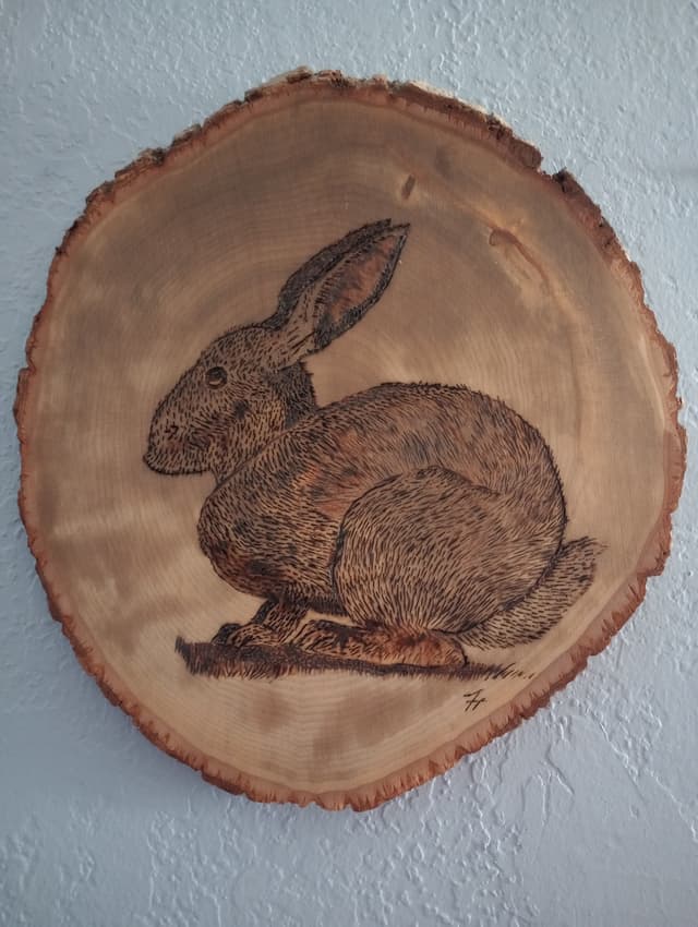 Resting Hare — pyrography on wood