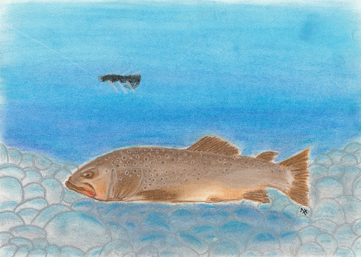 Brown Trout — pastel fish illustration print