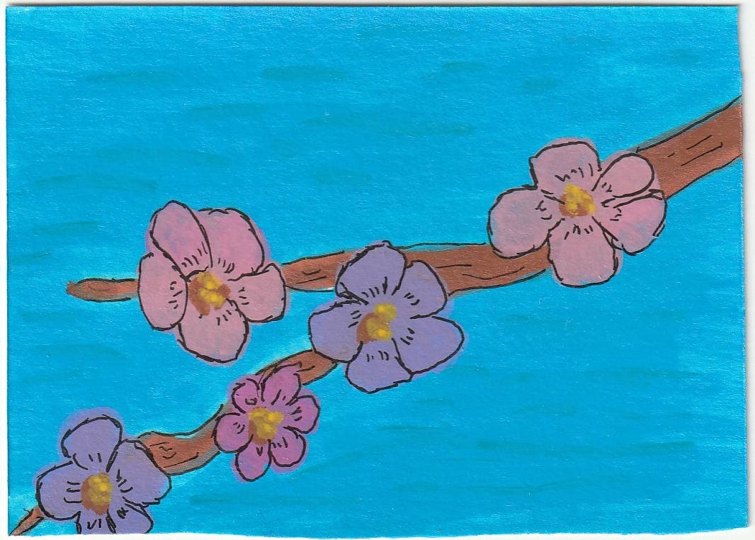 Cherry Blossoms — original ACEO acrylic painting