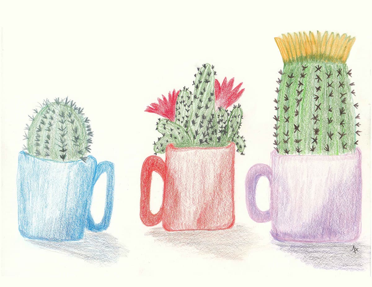 Cozy Cacti — colored pencil cactus illustration print