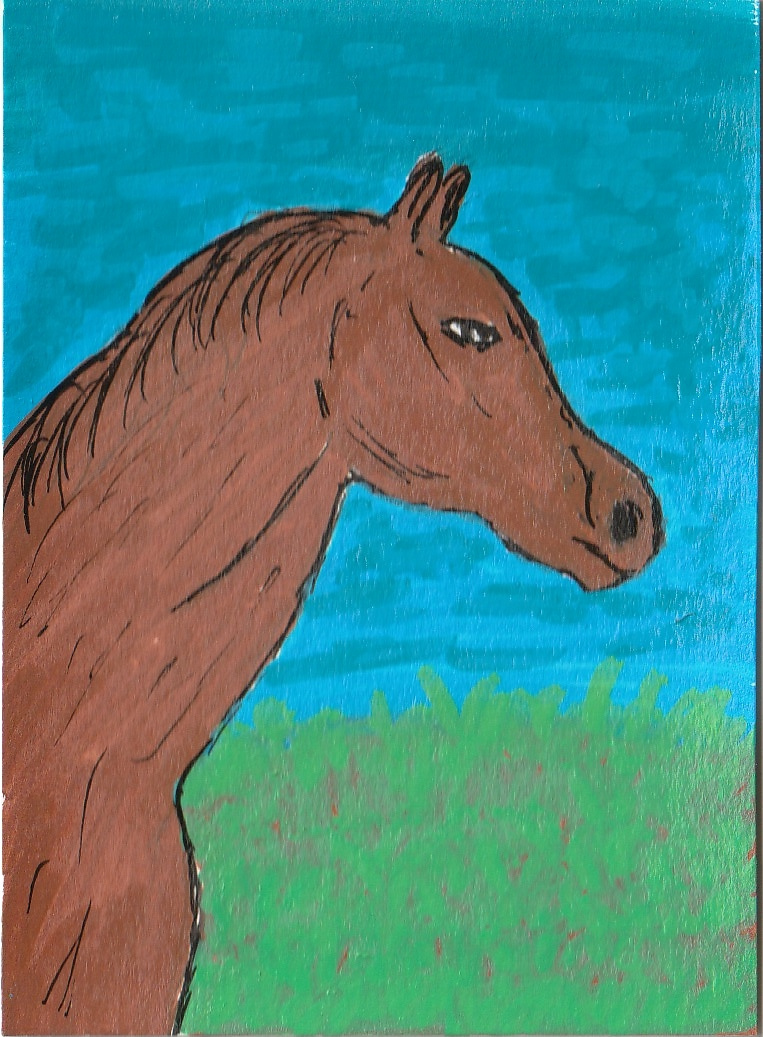 Open Field
